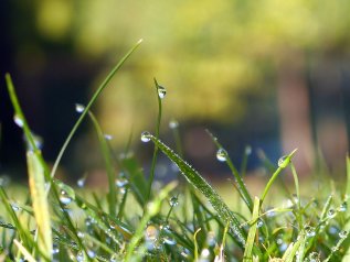 La disponibilità idrica scende, ma i terreni agricoli hanno sempre più sete