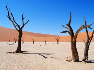 Colonizzazione dell’Africa. Dopo la Francia, anche la Germania si scusa