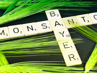 Bayer acquisisce Monsanto: ok dall'Antitrust europea