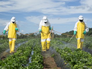 La Confederazione non rinuncia ai pesticidi