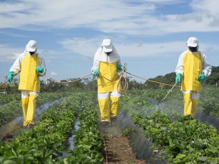 La Confederazione non rinuncia ai pesticidi