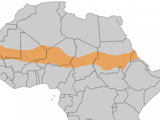 La Francia si ritira dal Sahel