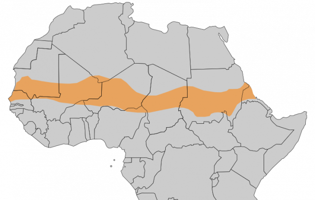 La Francia si ritira dal Sahel