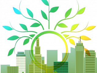 Così gli alberi salveranno le nostre città