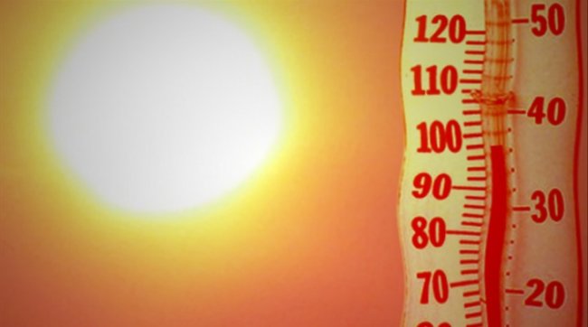 Temperature fino 49,5 gradi. Decine di morti a Vancouver