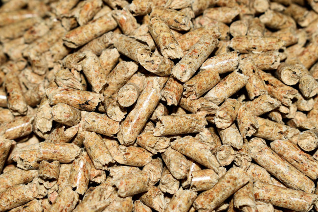 Il pellet ha un effetto sul clima simile a quello dei combustibili fossili