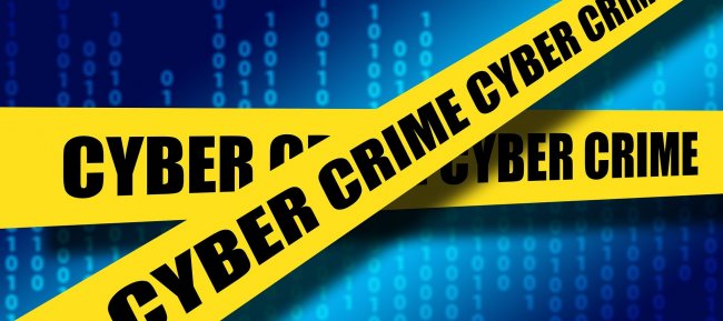 L’Aia è sotto attacco hacker: “Siamo in pericolo. Intervenga il governo”