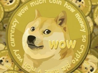 Criptovalute, la follia su ShibaInu: +35.710.245%