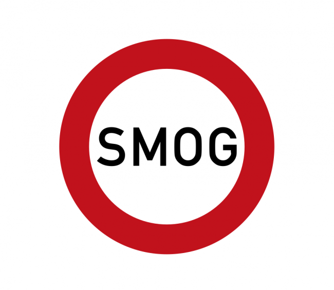 Nel 2019 lo smog ha causato oltre 300 mila morti