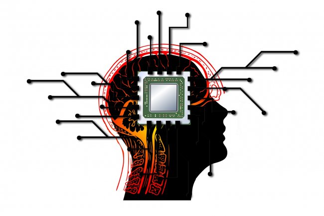Neuralink è pronta a impiantare chip nel cervello dell’uomo