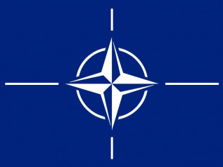 Nato, da “cerebralmente morta” a …