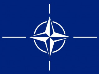 Nato, da “cerebralmente morta” a …