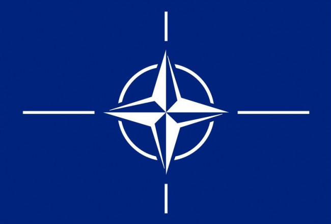 Nato, da “cerebralmente morta” a …