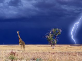 La tempesta perfetta sta per abbattersi sul continente