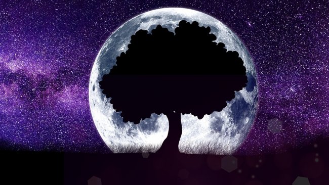 Entro il 2030 una colonia umana sulla Luna