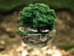 Non più greenwashing: le aziende di domani e il dovere di essere sostenibil