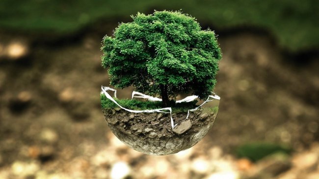 Non più greenwashing: le aziende di domani e il dovere di essere sostenibil