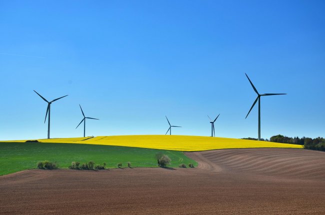 Quante risorse del PNRR sono destinate alla transizione ecologica?