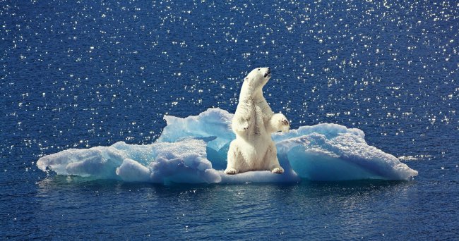 Consumi energetici, il Pianeta si basa per il 77% sulle fonti fossili