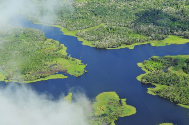 L’Amazzonia e i suoi fiumi volanti. Che rischiano di sparire