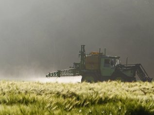 Campione d'Europa nell'uso dei pesticidi nonostante le promesse del governo