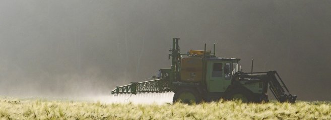 Campione d'Europa nell'uso dei pesticidi nonostante le promesse del governo