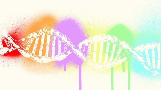 Il codice genetico non ha più segreti e conoscerlo può allungarci la vita