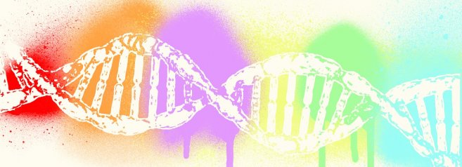 Il codice genetico non ha più segreti e conoscerlo può allungarci la vita